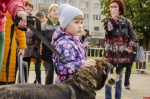 Нет живодерам