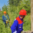Около 560 опор ЛЭП заменили энергетики в Псковской области - Pln-Pskov.Ru