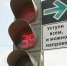 Фото: Руслан Кривобок / РИА Новости - InformPskov.Ru