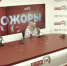 «Хайпожоры»: Предвыборные страсти и споры об отоплении. ВИДЕО - Pln-Pskov.Ru