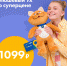 Рыжего котенка Уха продают за тысячу рублей - BusinessPskov.Ru
