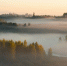 Фото Романа Дмитриева - InformPskov.Ru