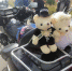 Фото  Luki-News. - InformPskov.Ru