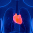 Напечатанное на принтере сердце поможет сделать тестовую операцию. Фото medportal - InformPskov.Ru