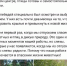 Выпущенного «Птичьи двориком» лебедя убили из пневматического оружия - Pln-Pskov.Ru