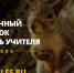 Почему на День учителя дарят лес вместо цветов - BusinessPskov.Ru