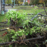 Фото Андрея Степанова - InformPskov.Ru