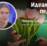 «Учат в школе»: псковские випы рассказали о любимых педагогах - InformPskov.Ru