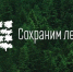 3 тысячи молодых деревьев посадят в Печорском районе - Псковская правда