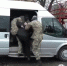 На Ставрополье и в Томске задержали еще двух боевиков из банды Басаева и Хаттаба - ГТРК Псков