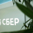 Сбер рассказал о росте спроса на кредиты для физлиц - Pln-Pskov.Ru
