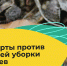 Псковичей просят высказаться против уборки осенней листвы - BusinessPskov.Ru