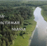 Фото: Сергей Куцевалов/"ВКонтакте" - InformPskov.Ru