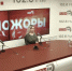 «Хайпожоры»: Коммуникация в эпоху мобилизации и ЛГБТ-скандал. ВИДЕО - Pln-Pskov.Ru