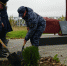 Фото здесь и далее: пресс-служба Росгвардии по Псковской области - InformPskov.Ru