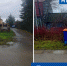 В одной из гдовских деревень отменили мешковой сбор ТКО - InformPskov.Ru