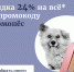 -24% на всё* по промокоду из письма - BusinessPskov.Ru