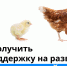 Начинающие фермеры могут получить грант «Агростартап» - InformPskov.Ru
