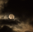 Фото: PxHere - InformPskov.Ru
