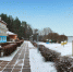 Фото предоставлено автором заявки - InformPskov.Ru