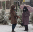 Какие законы в России вступят в силу в декабре - InformPskov.Ru