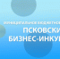 Новый сайт для платных услуг Псковского бизнес-инкубатора - Бизнес-инкубатор