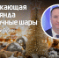 Карусели, глинтвейн и ёлка: псковские випы рассказали об ассоциациях с Новым годом - InformPskov.Ru