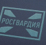 11 владельцев гражданского оружия привлекли к административной ответственности росгвардейцы за неделю - Росгвардия