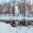 Фото Ирины Стуловой - InformPskov.Ru