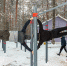 Фото предоставлено автором заявки - InformPskov.Ru
