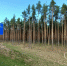 Помнить имя его - Pln-Pskov.Ru