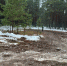 У разбитого Корытова - Pln-Pskov.Ru