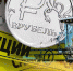 В рубель: Нравится, не нравится – новый год, красавица! - Pln-Pskov.Ru