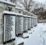 Мемориальная стена. Фото Telegram - InformPskov.Ru