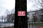 Весна покажет