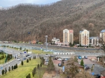 Дорого, зелено и без купания: стоит ли ехать в Сочи зимой