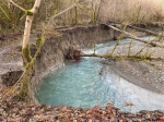 Дорого, зелено и без купания: стоит ли ехать в Сочи зимой