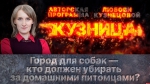 Начинается видеотрансляция программы «Кузница»