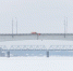 Загрязнение реки Великой выявила прокуратура в Пскове - Pln-Pskov.Ru