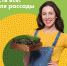 Дачный рай: где псковичей ждут товары для садоводов со скидками - BusinessPskov.Ru