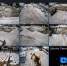 Фото: "Наша жизнь" - InformPskov.Ru