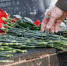 80 лет разгрома немецко-фашистских войск под Сталинградом отмечается 2 февраля - Pln-Pskov.Ru