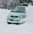 Фото федерации - InformPskov.Ru