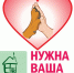 Приют «Шанс» засыпает снегом - Pln-Pskov.Ru