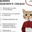 В облздраве советуют псковичам больше ходить пешком - InformPskov.Ru