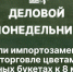 Начинается видеотрансляция программы «Деловой понедельник» - Pln-Pskov.Ru