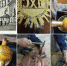 Фото группы «Возрождение Псков» - InformPskov.Ru