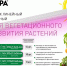 Секрет, который позволит стать успешным растениеводом, раскрыли псковичам - BusinessPskov.Ru