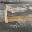 Фото Luki-news - InformPskov.Ru