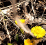 Фото: портал Luki-News - InformPskov.Ru